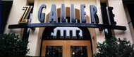 Z Gallery Front Door